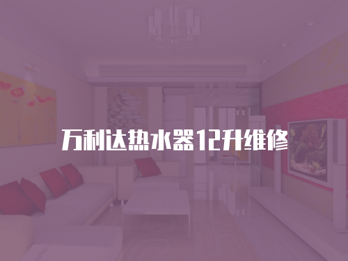萬利達熱水器12升維修