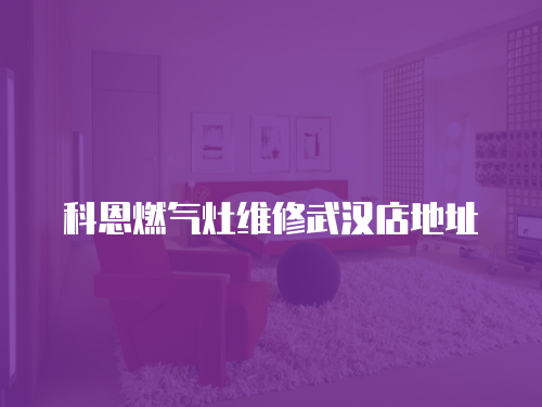 科恩燃氣灶維修武漢店地址