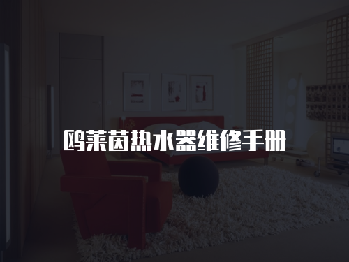 鷗萊茵熱水器維修手冊