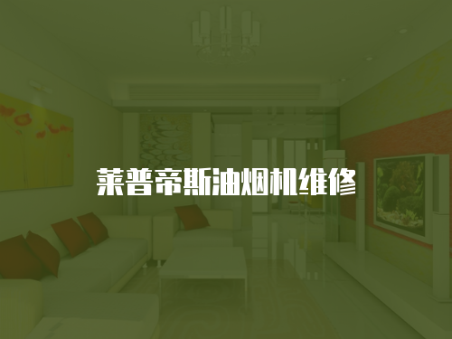 萊普帝斯油煙機維修