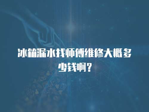冰箱漏水找?guī)煾稻S修大概多少錢啊？