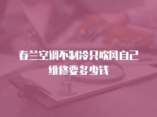 春蘭空調不制冷只吹風自己維修要多少錢