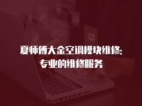 夏師傅大金空調(diào)模塊維修: 專業(yè)的維修服務(wù)
