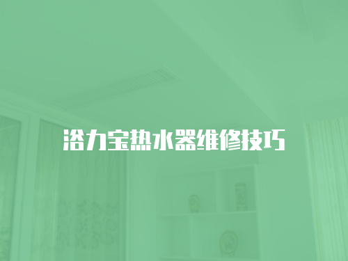 浴力寶熱水器維修技巧