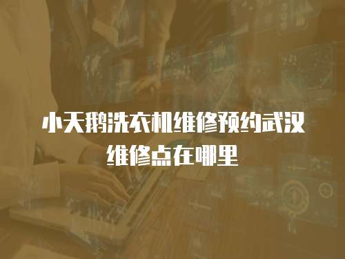 小天鵝洗衣機維修預約武漢維修點在哪里