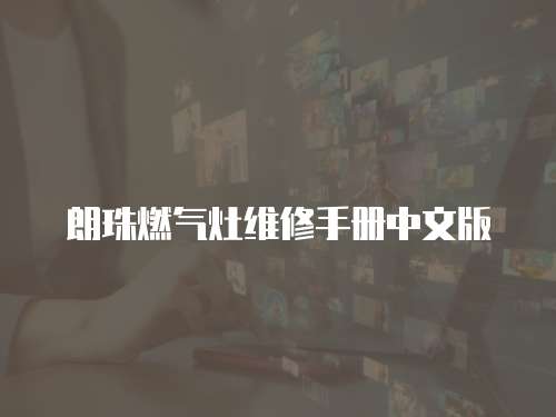 朗珠燃?xì)庠罹S修手冊中文版