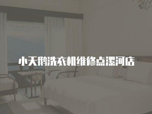 小天鵝洗衣機維修點漯河店