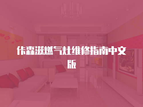 佧森滋燃氣灶維修指南中文版