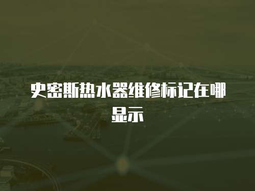 史密斯熱水器維修標記在哪顯示