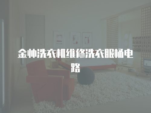 金帥洗衣機維修洗衣服桶電路