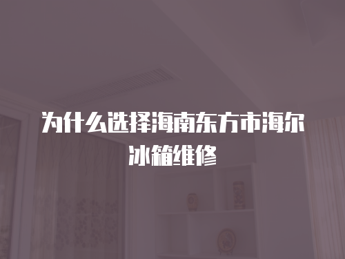 為什么選擇海南東方市海爾冰箱維修