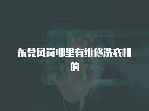 東莞鳳崗哪里有維修洗衣機(jī)的