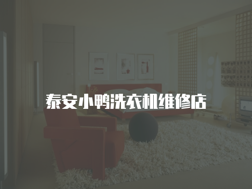 泰安小鴨洗衣機維修店