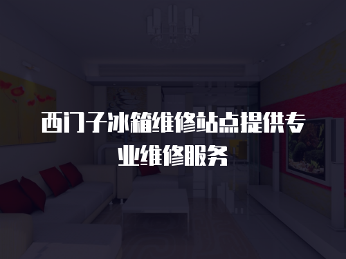 西門子冰箱維修站點提供專業維修服務