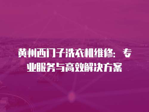 黃州西門子洗衣機維修：專業服務與高效解決方案