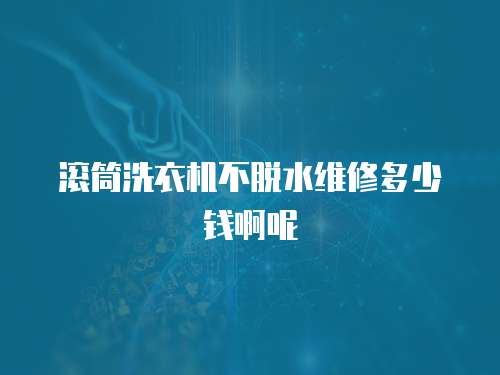 滾筒洗衣機(jī)不脫水維修多少錢啊呢