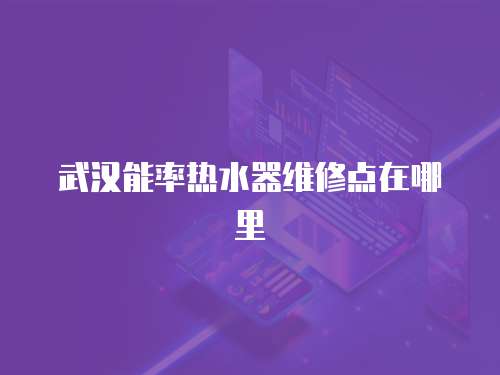 武漢能率熱水器維修點在哪里