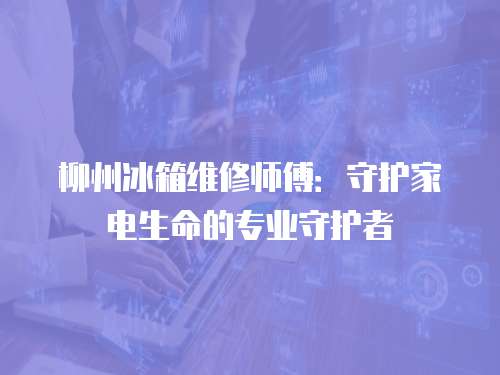 柳州冰箱維修師傅：守護家電生命的專業守護者