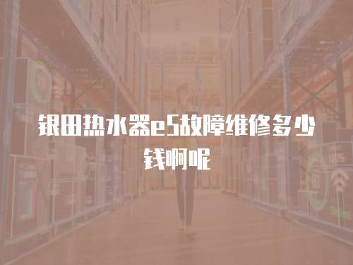 銀田熱水器e5故障維修多少錢啊呢