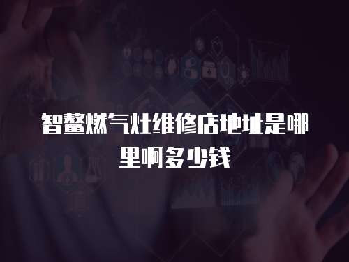 智鰲燃氣灶維修店地址是哪里啊多少錢