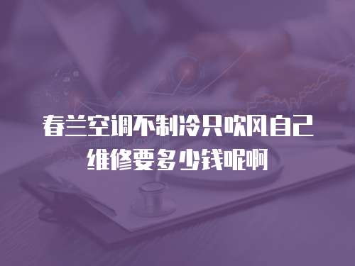 春蘭空調不制冷只吹風自己維修要多少錢呢啊