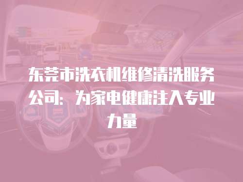 東莞市洗衣機維修清洗服務公司：為家電健康注入專業力量