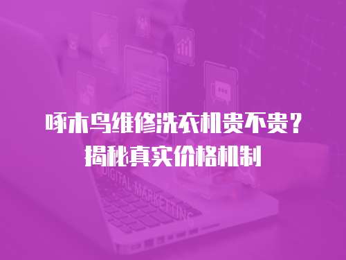 啄木鳥維修洗衣機貴不貴？揭秘真實價格機制