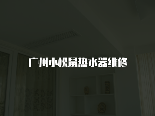 廣州小松鼠熱水器維修