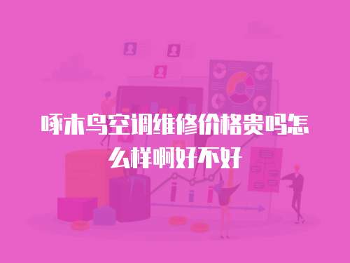 啄木鳥空調(diào)維修價格貴嗎怎么樣啊好不好