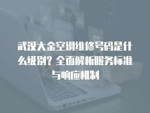 武漢大金空調(diào)維修號(hào)碼是什么級(jí)別？全面解析服務(wù)標(biāo)準(zhǔn)與響應(yīng)機(jī)制