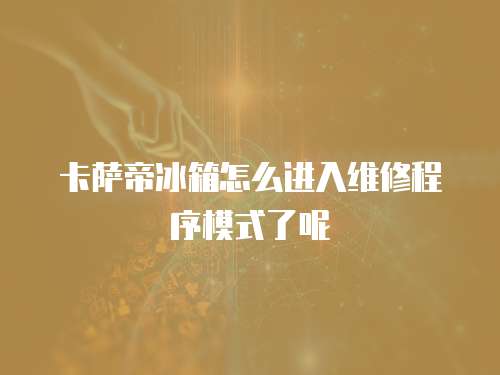 卡薩帝冰箱怎么進入維修程序模式了呢