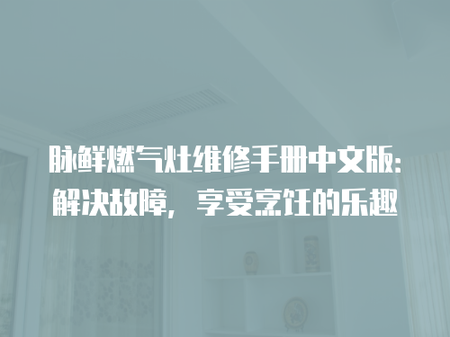 脈鮮燃氣灶維修手冊中文版：解決故障，享受烹飪的樂趣