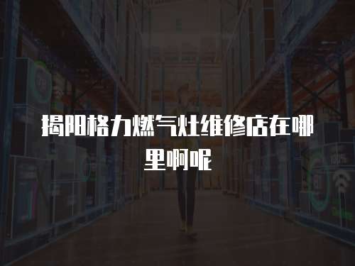 揭陽格力燃氣灶維修店在哪里啊呢