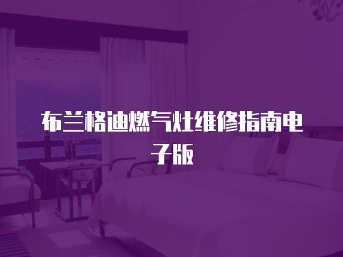 布蘭格迪燃氣灶維修指南電子版