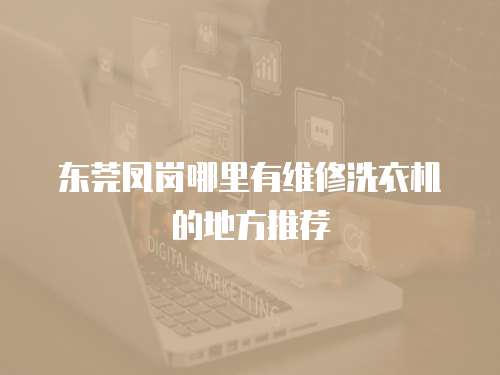 東莞鳳崗哪里有維修洗衣機的地方推薦
