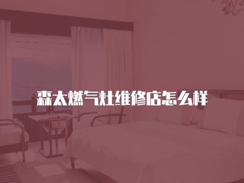 森太燃?xì)庠罹S修店怎么樣