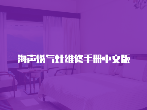 海聲燃?xì)庠罹S修手冊(cè)中文版