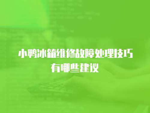 小鴨冰箱維修故障處理技巧有哪些建議