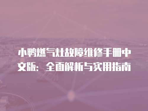 小鴨燃氣灶故障維修手冊中文版：全面解析與實用指南
