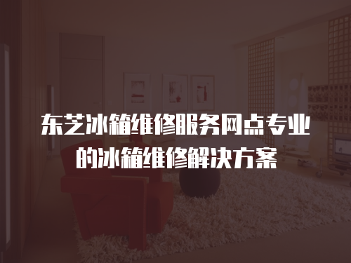 東芝冰箱維修服務(wù)網(wǎng)點專業(yè)的冰箱維修解決方案