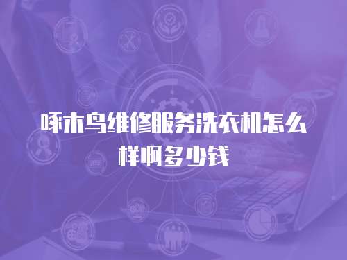 啄木鳥維修服務(wù)洗衣機(jī)怎么樣啊多少錢