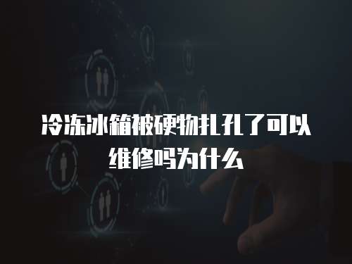 冷凍冰箱被硬物扎孔了可以維修嗎為什么