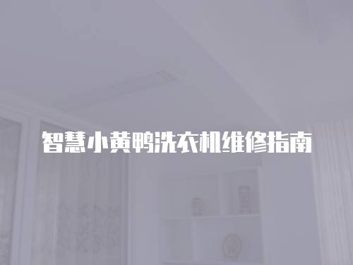 智慧小黃鴨洗衣機維修指南