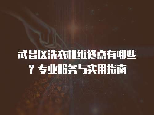 武昌區(qū)洗衣機(jī)維修點有哪些？專業(yè)服務(wù)與實用指南