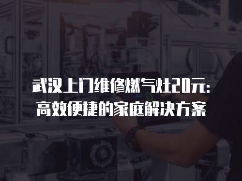 武漢上門維修燃氣灶20元：高效便捷的家庭解決方案