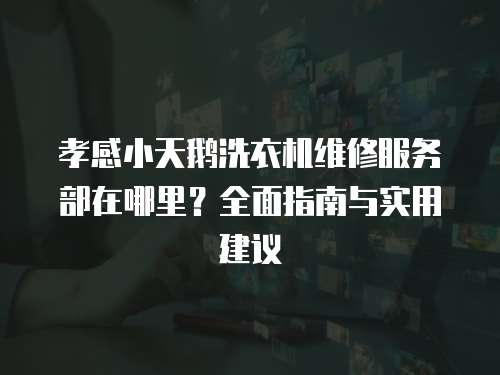 孝感小天鵝洗衣機維修服務部在哪里？全面指南與實用建議