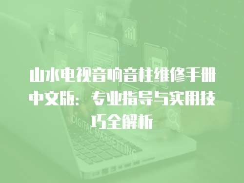 山水電視音響音柱維修手冊中文版：專業(yè)指導與實用技巧全解析