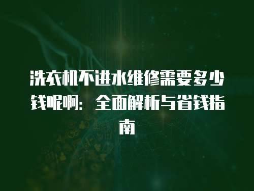 洗衣機不進水維修需要多少錢呢啊：全面解析與省錢指南