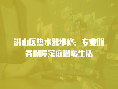 洪山區(qū)熱水器維修：專業(yè)服務(wù)保障家庭溫暖生活