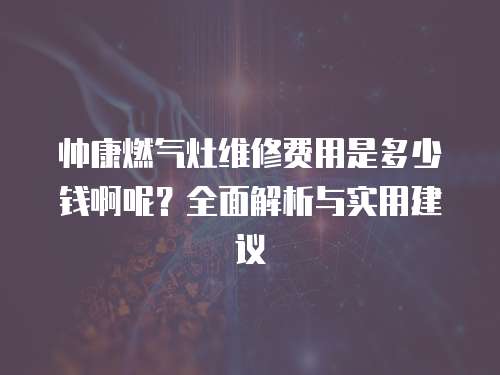 帥康燃?xì)庠罹S修費(fèi)用是多少錢啊呢？全面解析與實(shí)用建議